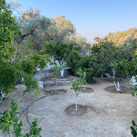 Apartamento House With Beautiful Garden In Plomari Exterior foto
