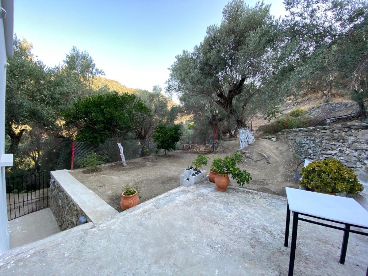 Apartamento House With Beautiful Garden In Plomari Exterior foto