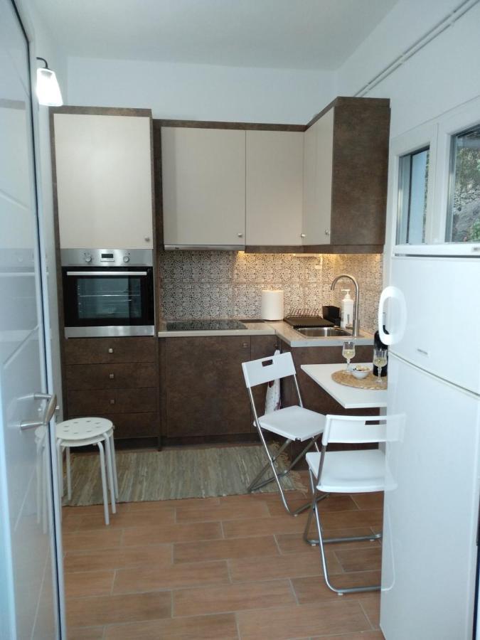 Apartamento House With Beautiful Garden In Plomari Exterior foto
